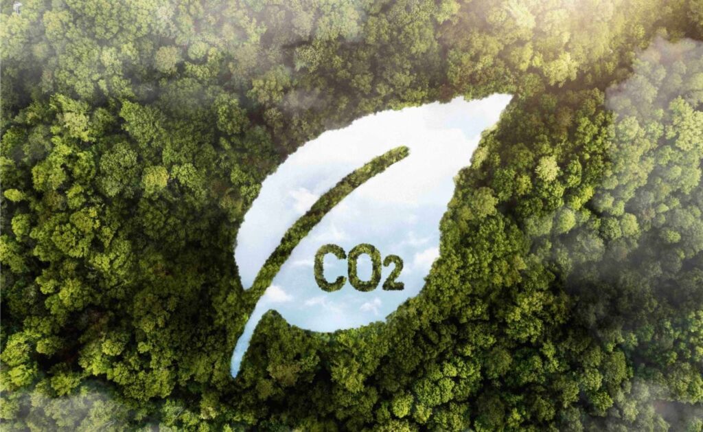 biogas definición